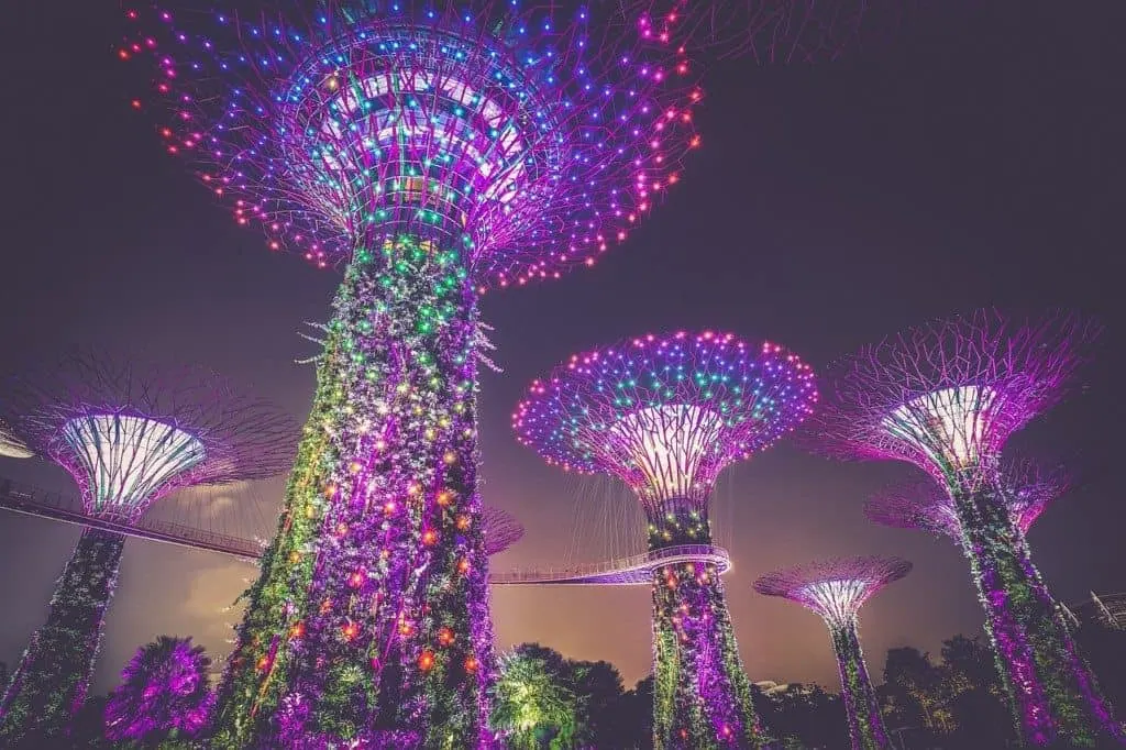 Marina Bay Tree Attraction, Singapore