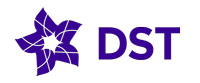 DST Brunei Logo