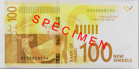 100 Israeli New Shekel Bank Note