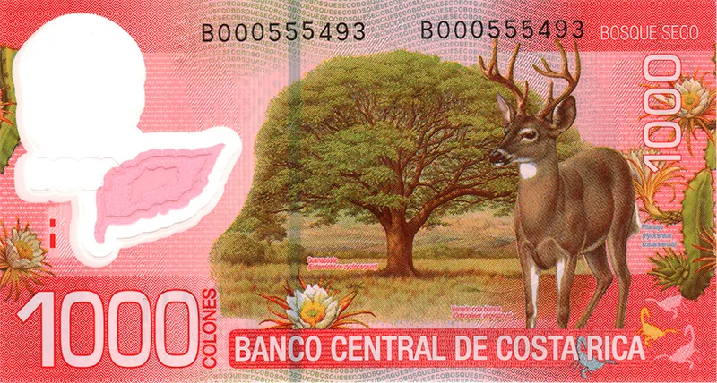 1000 Costa Rican Colón Bank Note