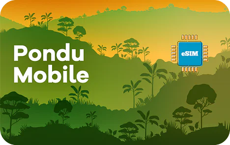 The Democratic Republic of the Congo Pondu Mobile eSIM Airalo
