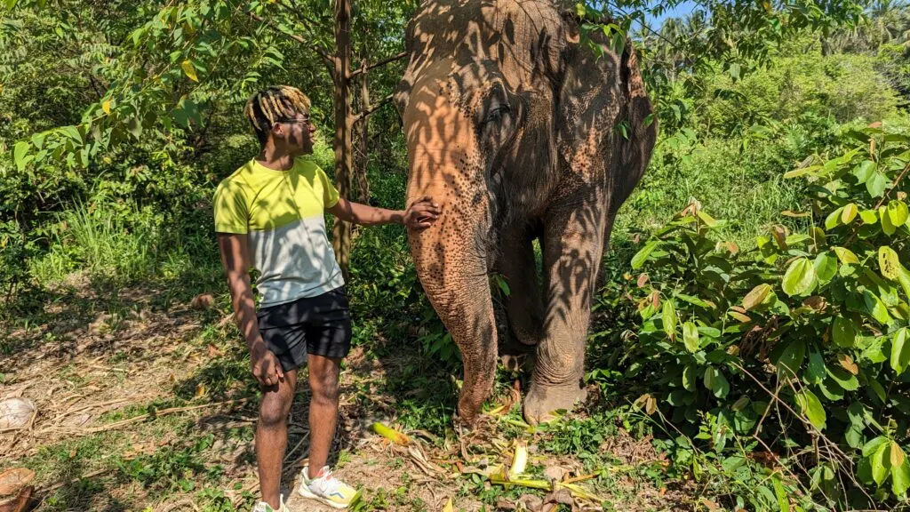 Adu from Phone Travel Wiz with an Elephant at the Samui Elephant Sanctuary