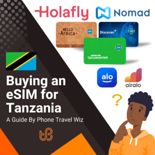 Buying an eSIM for Tanzania Guide (logos of Holafly, Nomad, Hello Africa, Discover+, Tanzacomm, Alosim & Airalo)