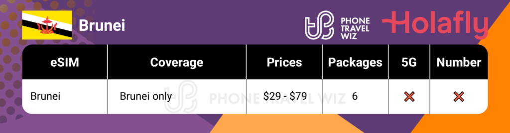 Holafly eSIMs for Brunei Summary Infographic by Phone Travel Wiz